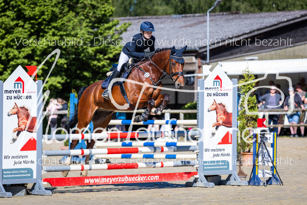 Donop24-A2Spr-035 | MomenTaufnahmen Pferdesportfotos