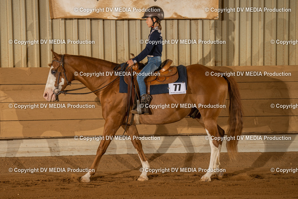 NID02793 | dv-media-shop - Realisiert mit Pictrs.com