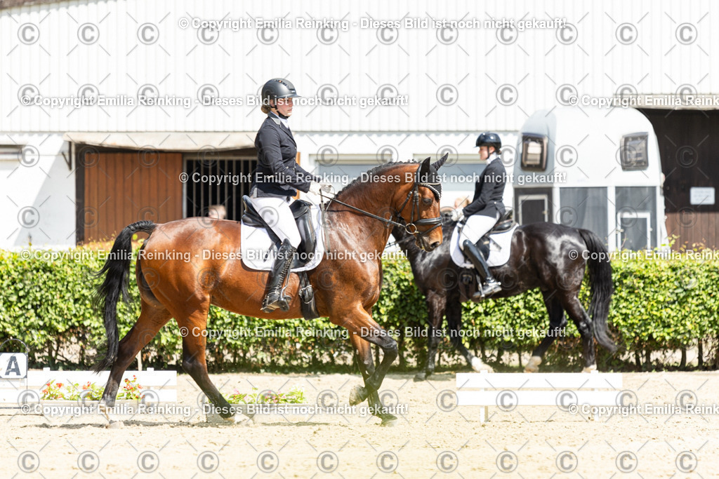 CL5A3825-2 | Emilia Reinking Fotografie - Realisiert mit Pictrs.com