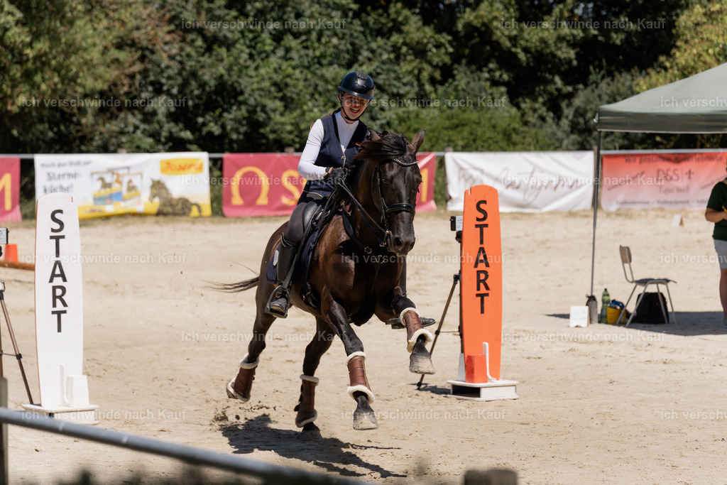 WM_SP_48_SinaFilmArt_IN06788 | working equitationturnier fotograf videograf stoibphotography marixx film working equitation deutschland reitsport turnierfotografie eventfotografie equestrian events