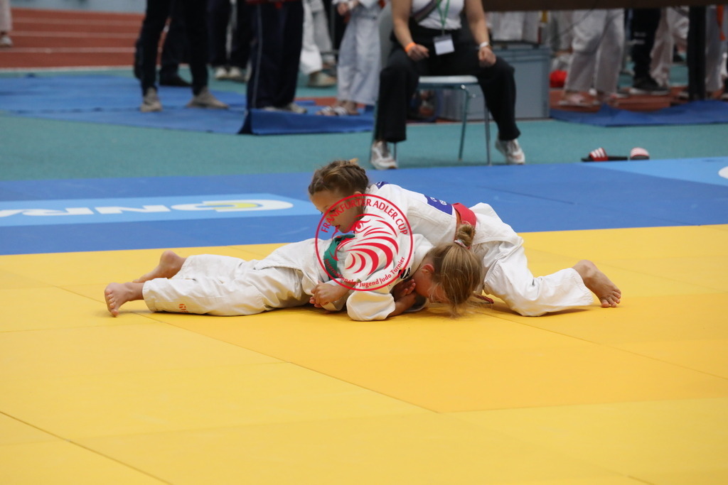 1J7A1512 | Fotos vom Adler Cup - Pictures from Adler Cup

Hier findet Ihr alle Eindrücke und großen Momente der Adler Cup Wochenenden. Here you will find all impressions and great moments of the Adler Cup weekends. - Realisiert mit Pictrs.com