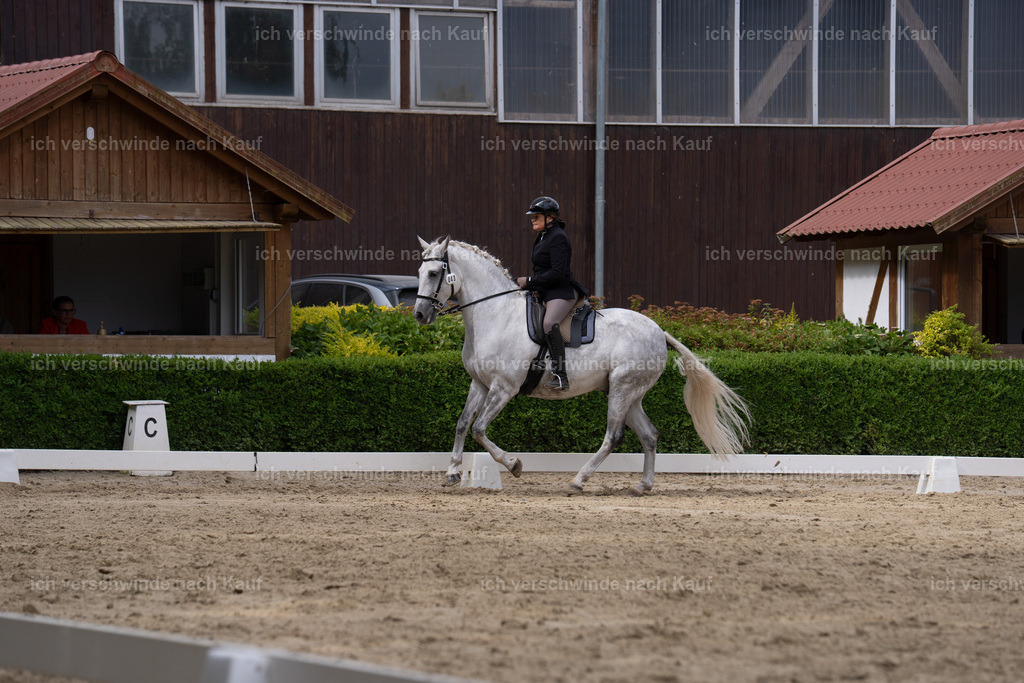 WS_DR_43_sinafilmart_IN01347 | working equitationturnier fotograf videograf stoibphotography marixx film working equitation deutschland reitsport turnierfotografie eventfotografie equestrian events