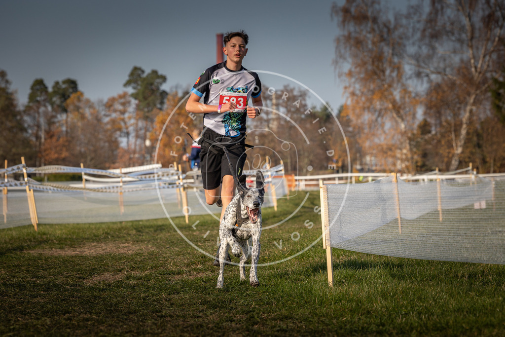 CaniXpix_0L8A9590 | Hundefotografie, Tierfotograf, Pfotenfotografie, Fotoshooting Hund, Hunde Portrait, Hundesport, Hundeportraits, Heideshooting, Hunde, Sportfotograf, Hundefotograf, Turnierhundsport, THS,  - Realisiert mit Pictrs.com