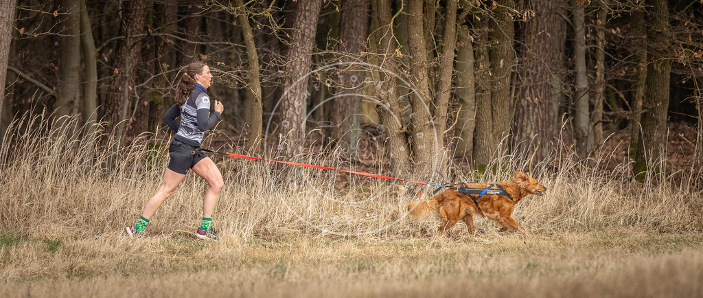 DV3A4212 | Hundefotografie, Tierfotograf, Pfotenfotografie, Fotoshooting Hund, Hunde Portrait, Hundesport, Hundeportraits, Heideshooting, Hunde, Sportfotograf, Hundefotograf, Turnierhundsport, THS,  - Realisiert mit Pictrs.com