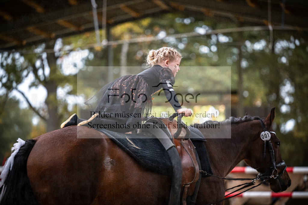 DOS_0109 | Entdecke hochwertige Reitturnierfotos von Foto Oger. Professionell, emotional und authentisch – jetzt Lieblingsmomente im Shop bestellen.Deutschlandweite Turnierfotografie. - Realisiert mit Pictrs.com