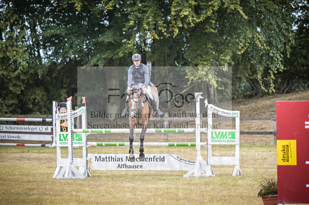 DOS_0212 | Entdecke hochwertige Reitturnierfotos von Foto Oger. Professionell, emotional und authentisch – jetzt Lieblingsmomente im Shop bestellen.Deutschlandweite Turnierfotografie. - Realisiert mit Pictrs.com