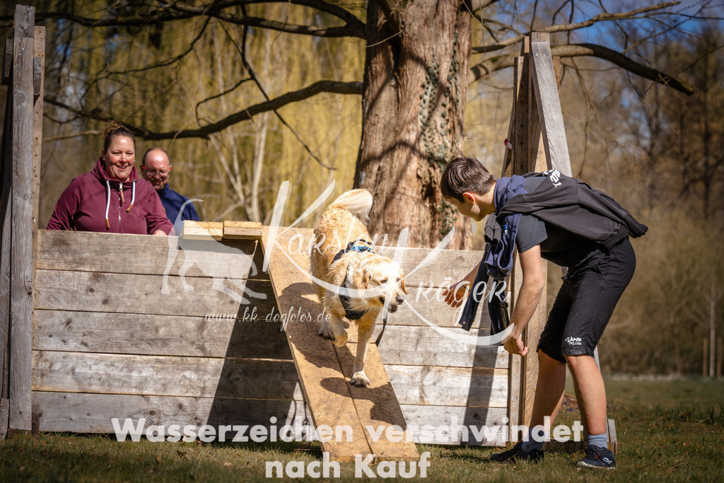1030_ZZ97495 | kk-dogfotos