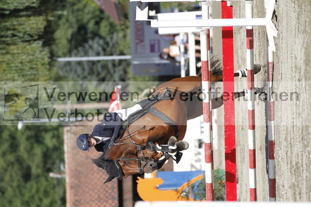_MG_3730 | equestrian-live-com
