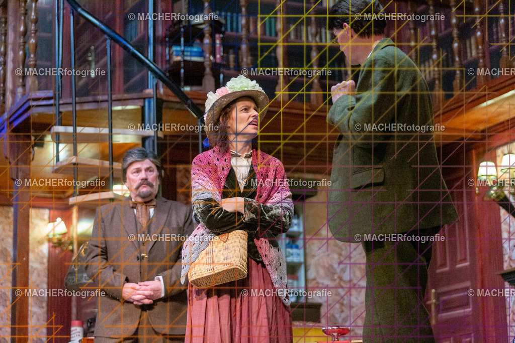 133_MFL-2025 | Portraitbilder von Regisseur; Darsteller; Techniker; Maske; Kostüme; Chor; Musiker; Bilderserie der Generalprobe und der Premierenvorstellung, Szenenbilder; Ausdrucksstudien; Bühnenüberblick; Bühnenkulissen; Pressefotos inkl. Redaktionsfoto Darstellergruppe.