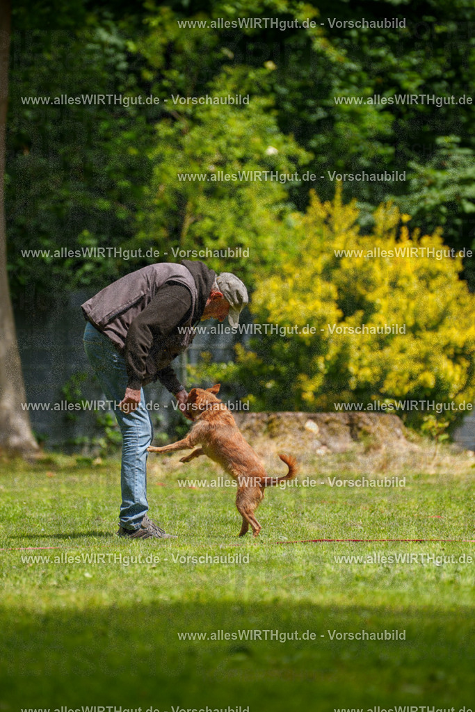 @allesWIRTHgut_Tierfotografie - www.allesWIRTHgut.de - 121828-7R508848 | Professionelle Tierfotografie in Mönchengladbach von Daniel Wirth (allesWIRTHgut). Liebevolle & natürliche Bilder von Hunden & Katzen für unvergessliche Erinnerungen.