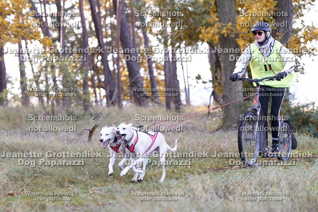 Dog Paparazzi - Elsholz 25 -68 | Dog Paparazzi Jeanette Grottendiek Fotografie & Videografie - Realisiert mit Pictrs.com