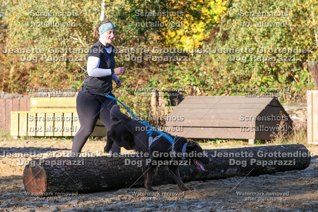 Dog Paparazzi - Strongdog 10-25-1132 | Dog Paparazzi Jeanette Grottendiek Fotografie & Videografie - Realisiert mit Pictrs.com