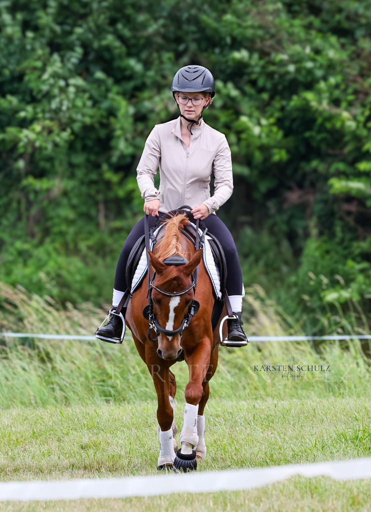 1B3A2984 | Reitsport Reiten