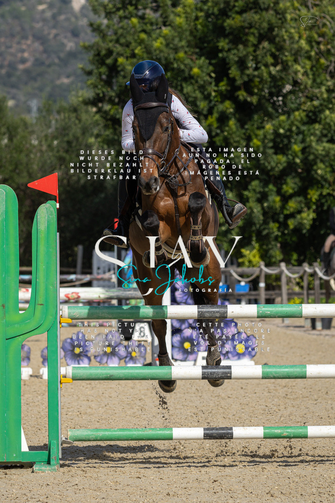 IMG_6680 | s-jay-photography - Realisiert mit Pictrs.com