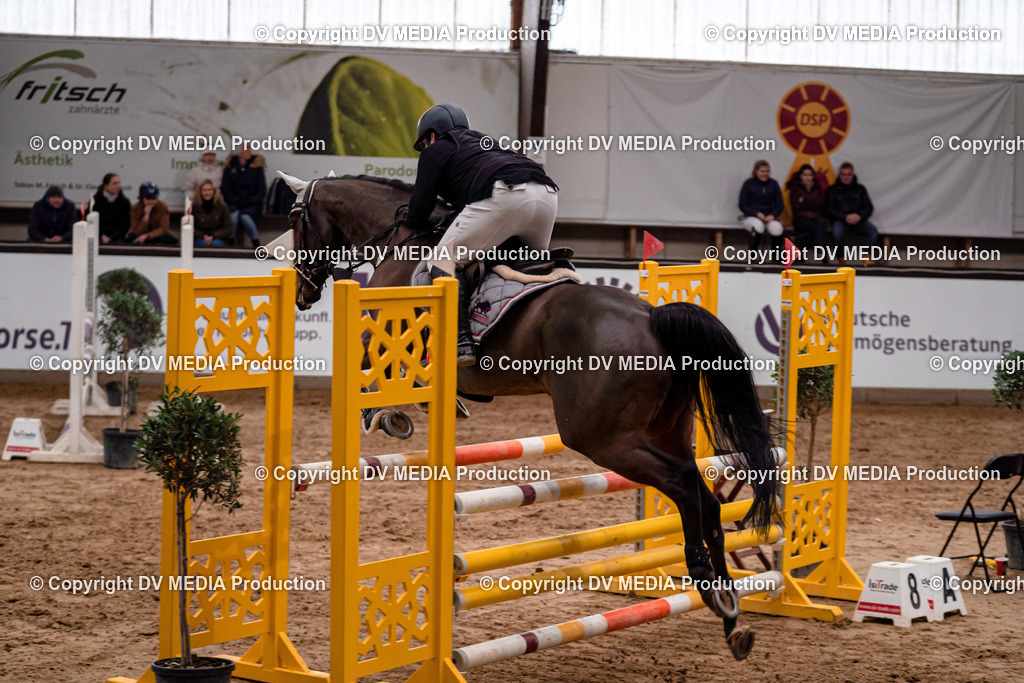 Kranichstein Tag 3-232 | dv-media-shop - Realisiert mit Pictrs.com