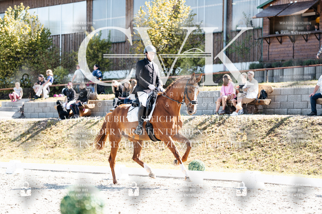 CK903343 | Turnierfotografie Pferdefotografie Trier Rheinland-Pfalz Pferdesport Reitsport Tierfotografie Sportfotografie Pferdevideo Pferdevideografie Equestrianvideography equestrianphotography  - Realisiert mit Pictrs.com