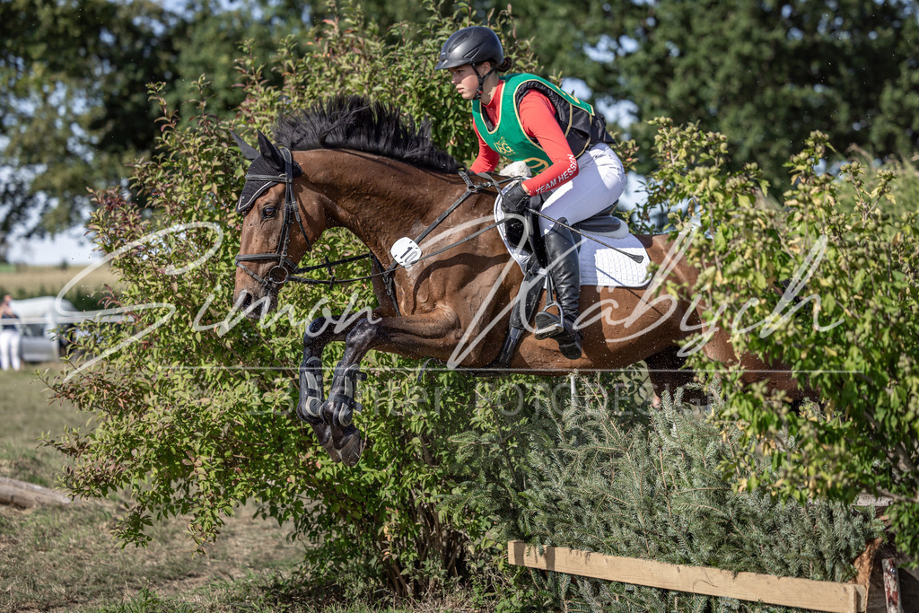 20250907-_3LI3061 | Tierfotografie Pferde, Hunde, Katzen, Haustiere.
Turnierfotografie Reitturniere, Reiten, Springreiten, Dressur in Hanau, dem Main-Kinzig-Kreis und dem Rhein-Main- Gebiet um Frankfurt