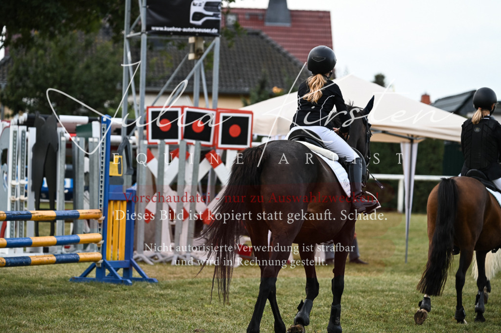 DSC_5754 | Pferde- und Turnierfotografie in Westsachsen. Pferdeportraits, Auftragszeichnungen und intuitive Kunst.