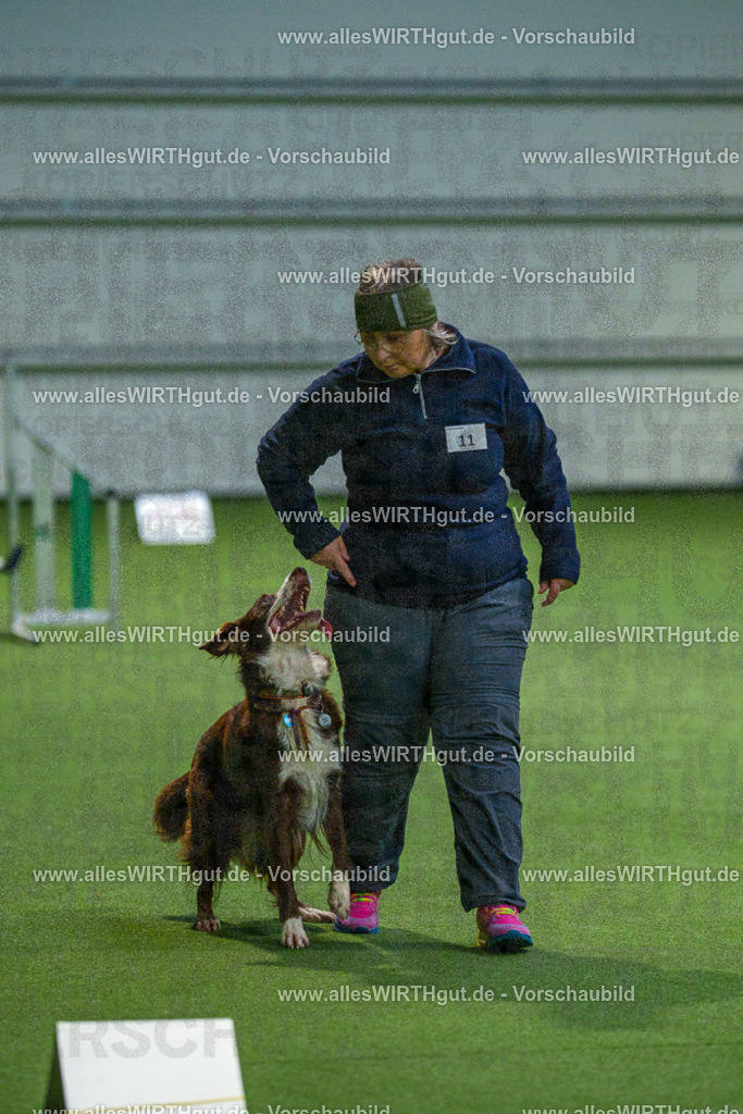 7R505022 | Professionelle Tierfotografie in Mönchengladbach von Daniel Wirth (allesWIRTHgut). Liebevolle & natürliche Bilder von Hunden & Katzen für unvergessliche Erinnerungen.
