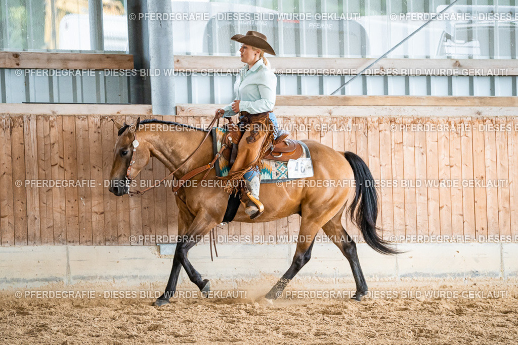 DSC00181 | Pferdegrafie