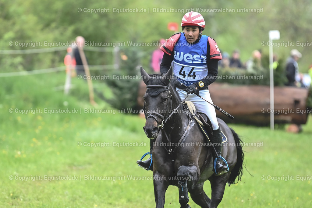 20230513_CCI4_Gelände_0561 | equistock