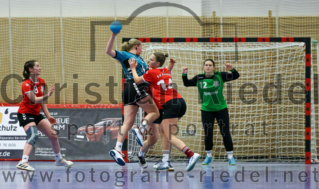 2022-11-27_085_SV_Anzing_gegen_HT_Muenchen_II | Anzing, Deutschland, 27.11.2022:
Handball, Bezirksliga 2022 / 2023, 7. Spieltag, SV Anzing gegen HT München II, Endergebnis: 28:32

Virag Varga (SV Anzing, #18), Stephanie Rühl (HT München, #20), Elena Holzmann (SV Anzing, #14)

Foto: Christian Riedel / fotografie-riedel.net