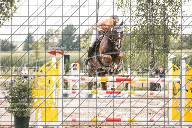 _W6A1626 | ronjaprokoschfotografie - Realisiert mit Pictrs.com