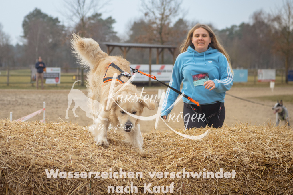 0951_ZZ90491 | kk-dogfotos