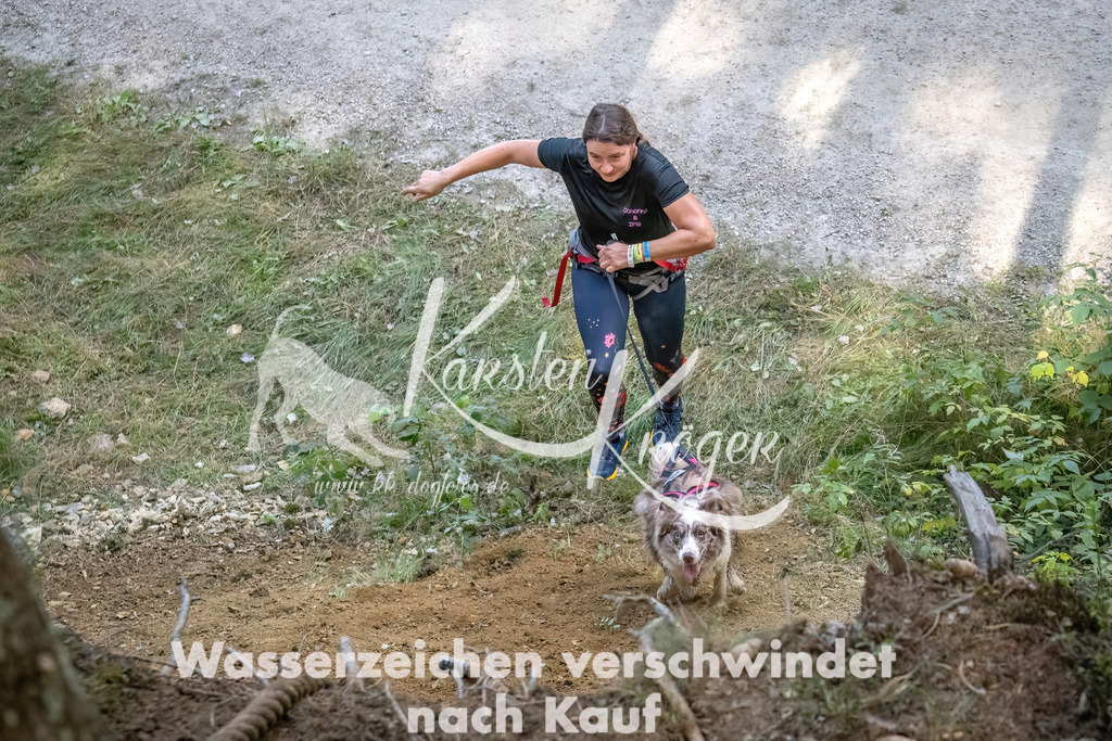 1053_ZZ93378 | kk-dogfotos