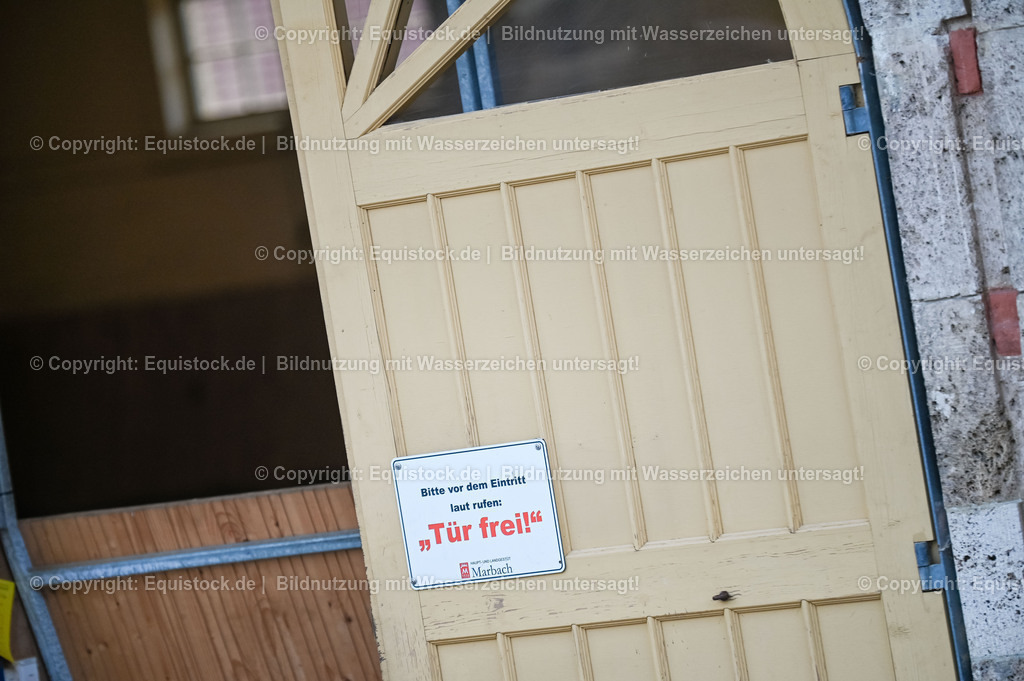 20260307_Hengstvorstellung-Marbach_0042 | equistock