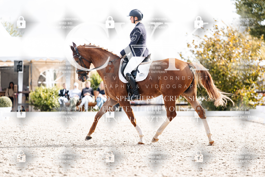 CK901855 | Turnierfotografie Pferdefotografie Trier Rheinland-Pfalz Pferdesport Reitsport Tierfotografie Sportfotografie Pferdevideo Pferdevideografie Equestrianvideography equestrianphotography  - Realisiert mit Pictrs.com