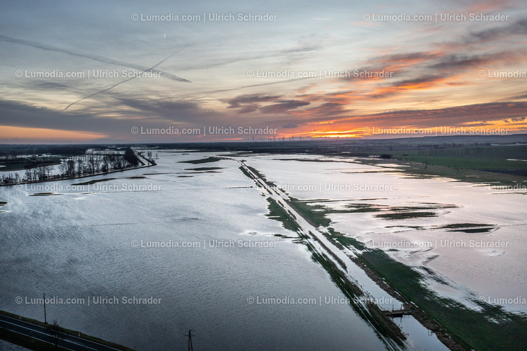 10049-51871 - Hochwasser im Großen Bruch | Stockfoto und Bilderpool mit Bildmaterial aus Deutschland, dem Harz, Halberstadt, Quedlinburg, Wernigerode und weltweit. Qualitativ hochwertige und professionelle Fotos anschauen und kaufen. - Realisiert mit Pictrs.com