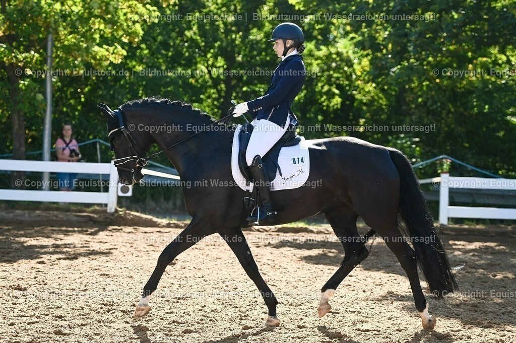 20230715_06_Dressurpferdeprfg. Kl.A_0239 | equistock