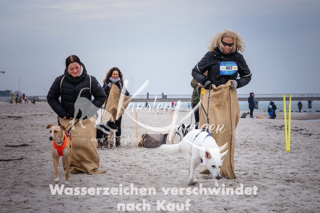 1230_ZZ94486 | kk-dogfotos