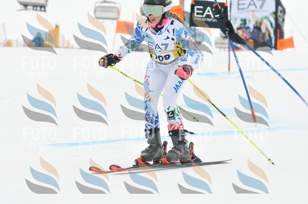 DSC_8122 | holidayphoto