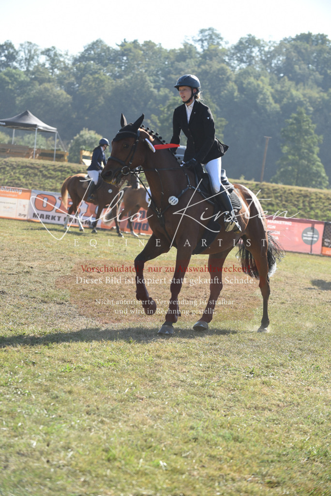 DSC_5507 | Pferde- und Turnierfotografie in Westsachsen. Pferdeportraits, Auftragszeichnungen und intuitive Kunst.