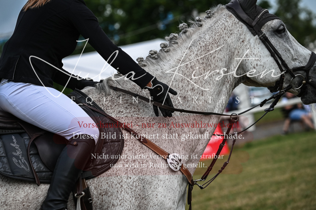 DSC_8355 | Pferde- und Turnierfotografie in Westsachsen. Pferdeportraits, Auftragszeichnungen und intuitive Kunst.