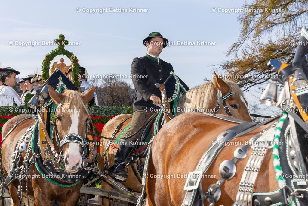 LBT24-1217 | foto-bettina-krinner - Realisiert mit Pictrs.com