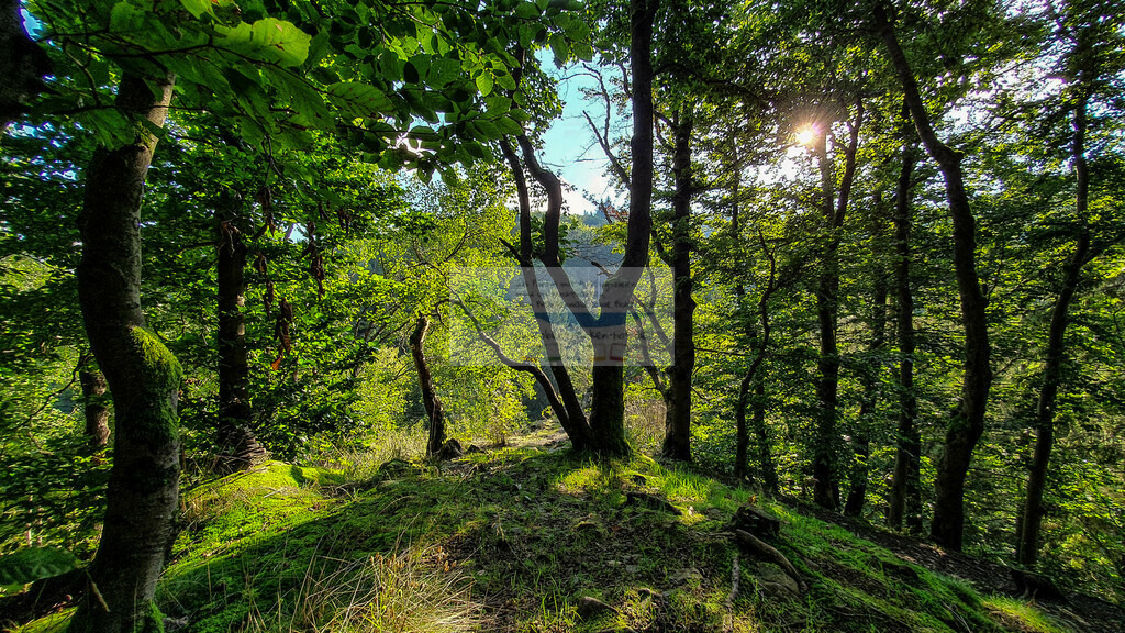 Höllental Sommer | Impressionen rund um Hochfranken - Frankenwald - Fichtelgebirge - Realisiert mit Pictrs.com