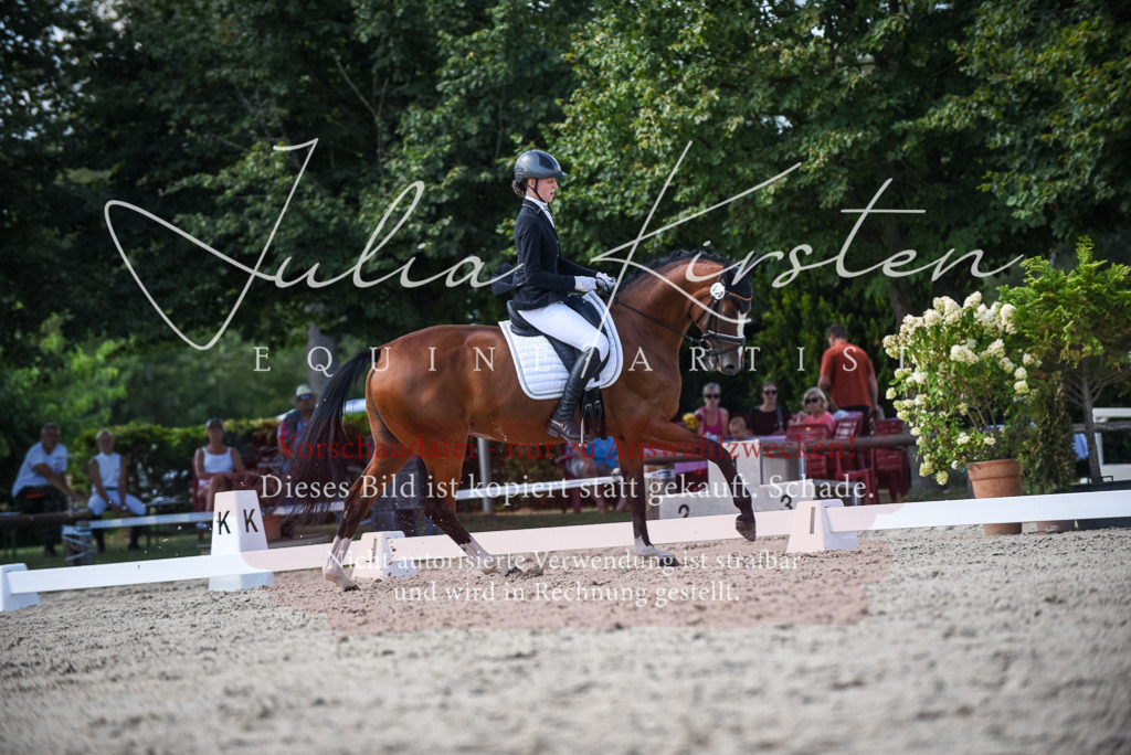 DSC_9490 | Pferde- und Turnierfotografie in Westsachsen. Pferdeportraits, Auftragszeichnungen und intuitive Kunst.