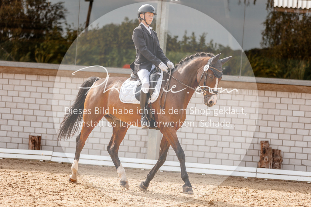 3I6A4263 | Stimmungsvolle Portraits und Reitsportfotografie im Ruhrgebiet und im Münsterland.

Pferdefotografie, Hundefotografie, Tierfotografie, Reportagen, Portraits von Tier und Mensch, Turnierfotografie in Bochum, Recklinghausen, Marl, Haltern am See, Dülmen.. - Realisiert mit Pictrs.com