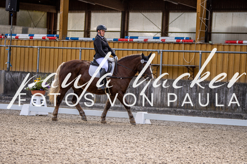 IMG_3472 | Erleben Sie dynamische Sport- und emotionale Tierfotografie in Süddeutschland mit Fotos von Paula. Spezialisiert auf Pferde- und Hundefotografie sowie Sportevents. Kontaktieren Sie mich für einzigartige und ausdrucksstarke Bilder Ihrer besonderen Momente. - Realisiert mit Pictrs.com