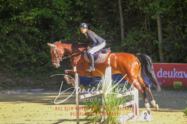 DKP42942 | Turniersportfotografie; Pferdefotografie; Dressurfotografie