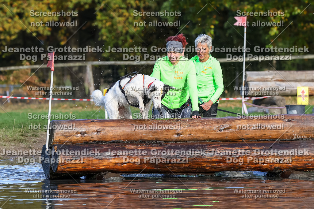 Dog Paparazzi - Strongdog 10-25-8493 | Dog Paparazzi Jeanette Grottendiek Fotografie & Videografie - Realisiert mit Pictrs.com