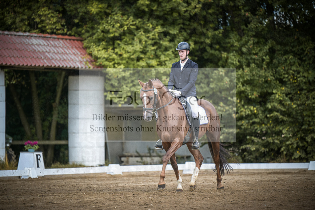 DOS_0539 | Entdecke hochwertige Reitturnierfotos von Foto Oger. Professionell, emotional und authentisch – jetzt Lieblingsmomente im Shop bestellen.Deutschlandweite Turnierfotografie. - Realisiert mit Pictrs.com