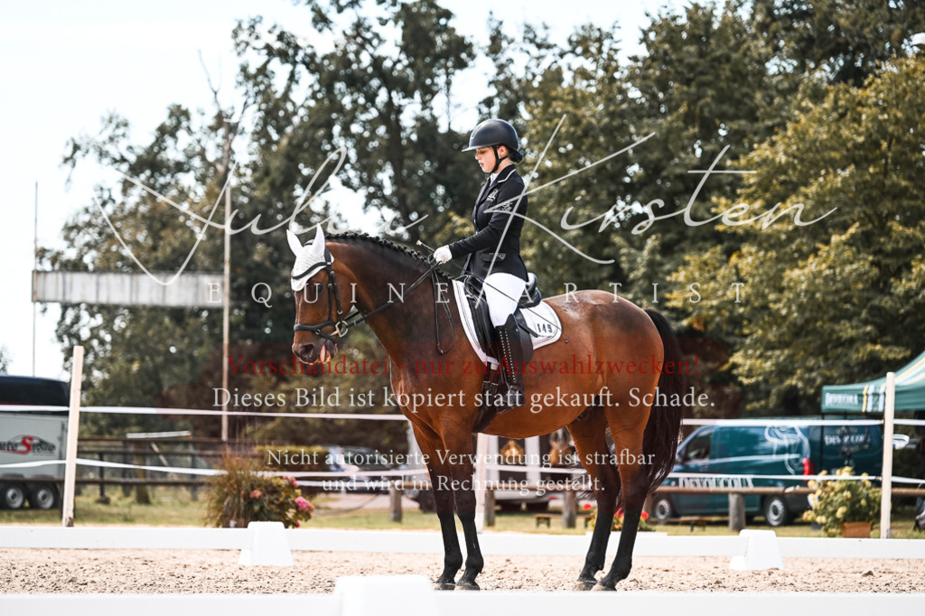 DSC_5629 | Pferde- und Turnierfotografie in Westsachsen. Pferdeportraits, Auftragszeichnungen und intuitive Kunst.