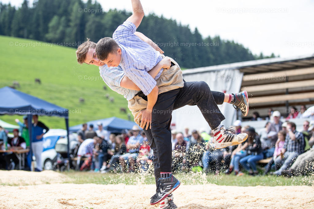 DX3_0076 | meyer-stoeckli