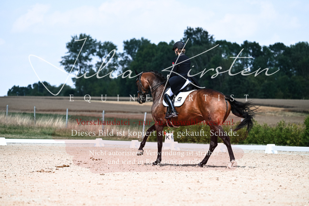 DSC_3108 | Pferde- und Turnierfotografie in Westsachsen. Pferdeportraits, Auftragszeichnungen und intuitive Kunst.