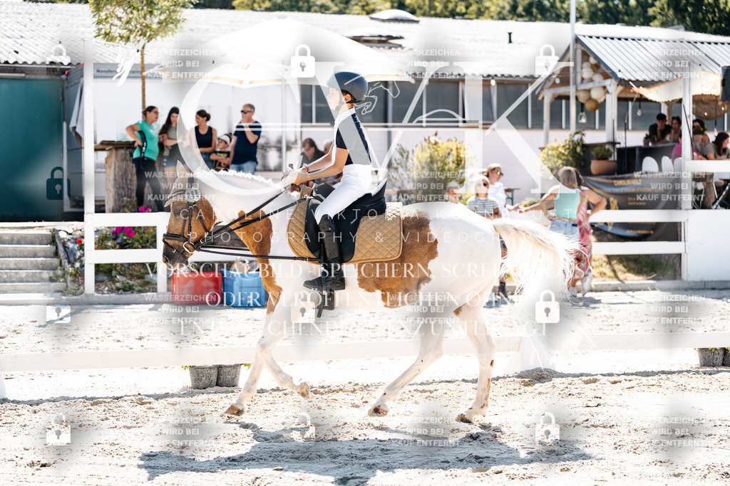 CK902567 | Turnierfotografie Pferdefotografie Trier Rheinland-Pfalz Pferdesport Reitsport Tierfotografie Sportfotografie Pferdevideo Pferdevideografie Equestrianvideography equestrianphotography  - Realisiert mit Pictrs.com