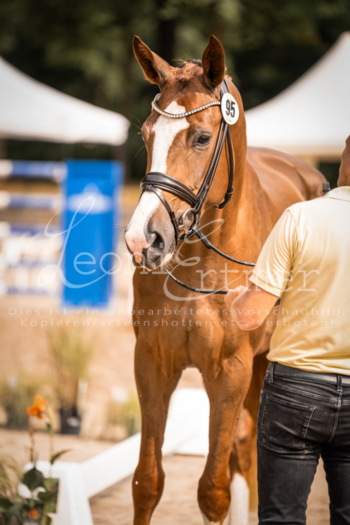 7.Fr00108 | Leoni Ertmer Photography - Realisiert mit Pictrs.com